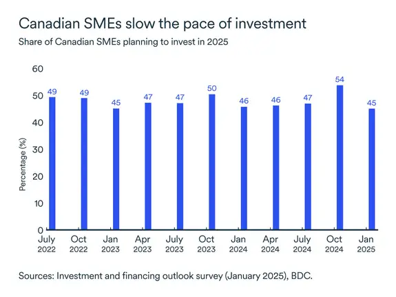 MEL March 2025 graph: SME investment plans