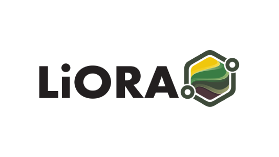 liora logo color